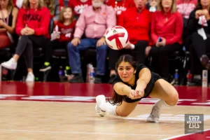 Nebraska Cornhusker Lexi Rodriguez (8) dives for safe against the Illinois Fighting Illini in the fourth set during the volleyball match on Sunday, November 12, 2023, in Lincoln, Nebraska. Photo by John S. Peterson.