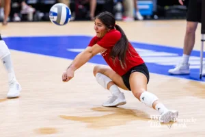 Nebraska Cornhusker libero Lexi Rodriguez (8) digs the ball during open practice before the NCAA Semi-Finals, Wednesday, December 13, 2023, Tampa, Florida. Photo by John S. Peterson.